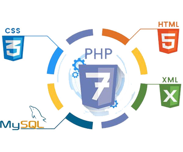 PHP & MySQL Development company